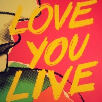 Rolling Stones - Love you Live, 2LP, Ex/Ex, Japan press